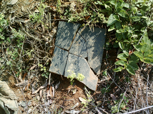 图5 被毁坏的墓碑 二○○八年摄.jpg