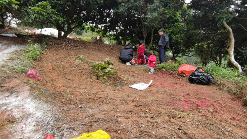 廿二世祖维琛公坟墓