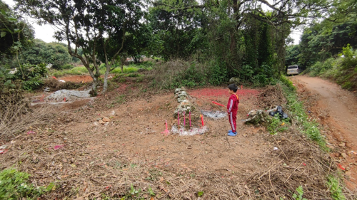 廿一世祖厚基公及杨夫人坟墓